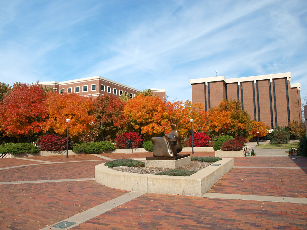 wichita state university