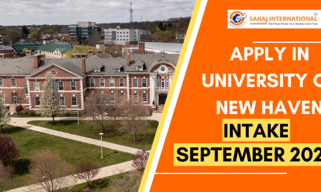 Study At University Of New Haven – USA Student Visa | Intake August 2024